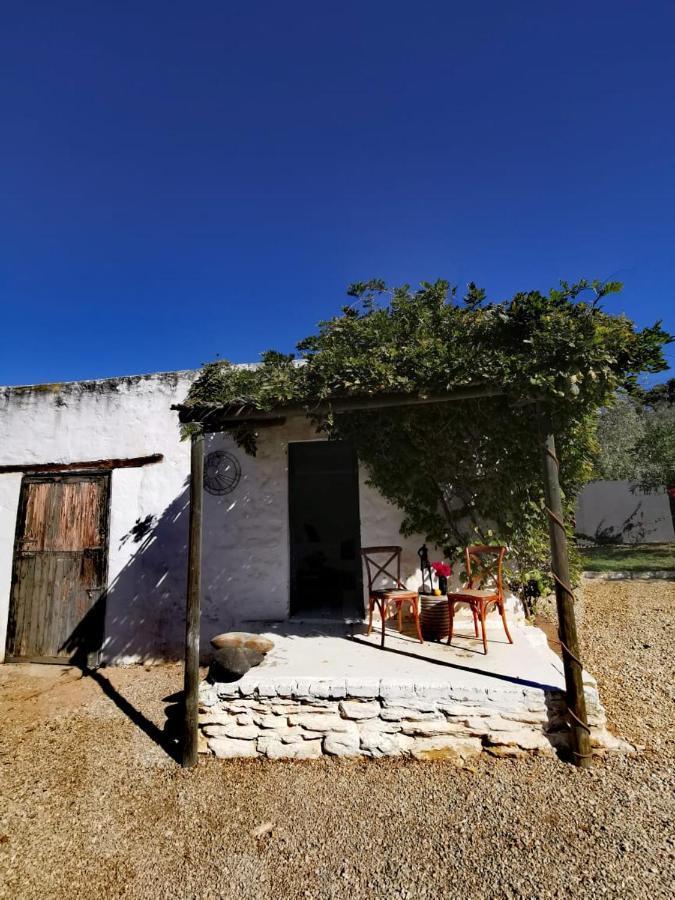 Olive Grove Cottage Koringberg Eksteriør billede